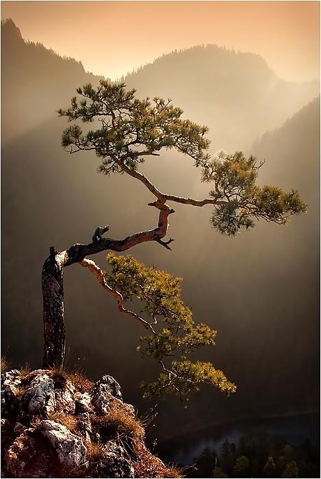 5P Nature's beauties
