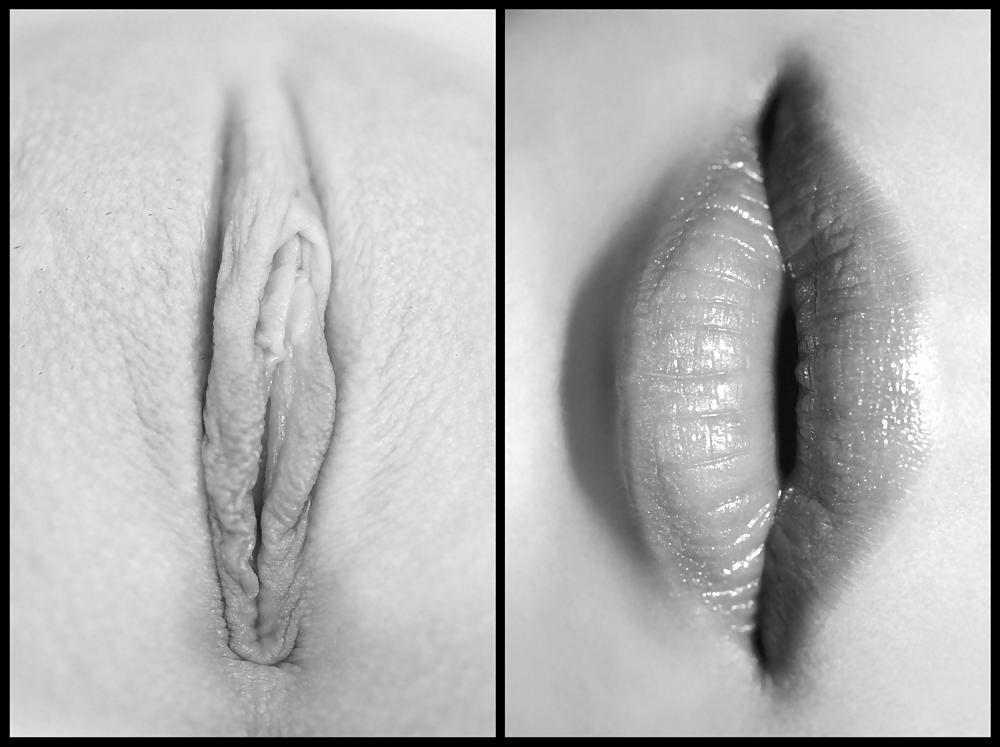 25P Labia Pussys Zoom II