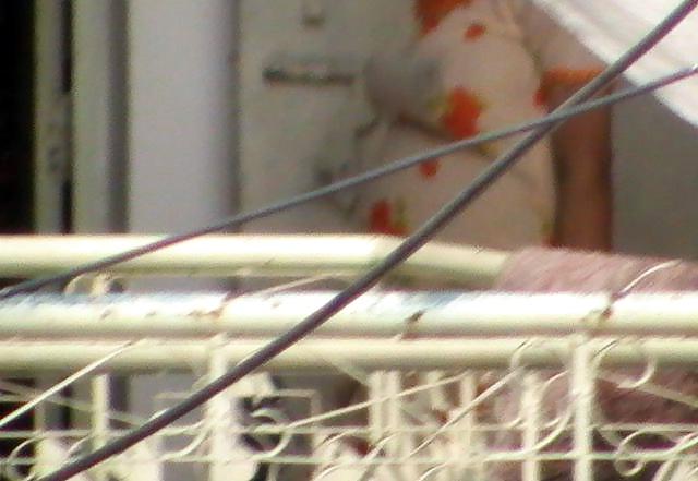 6P My Braless Neighbor