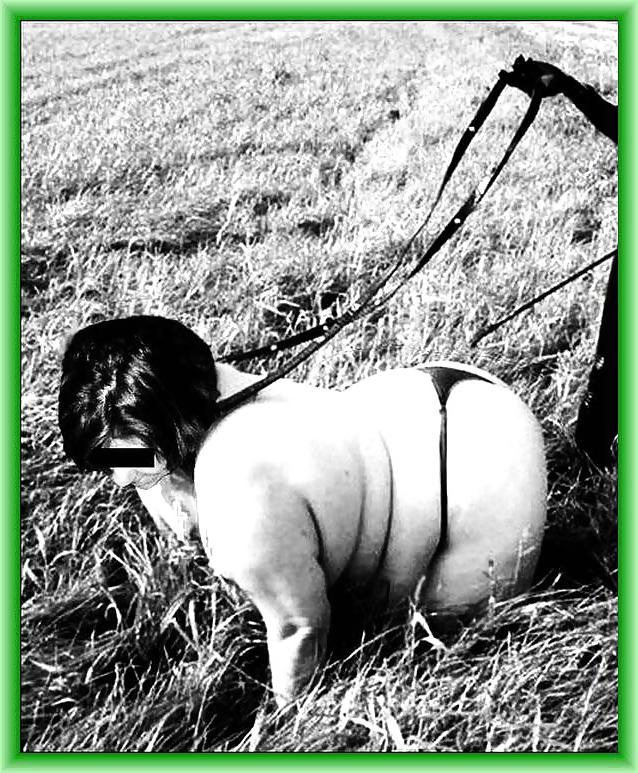 25P BBW petgirl 13
