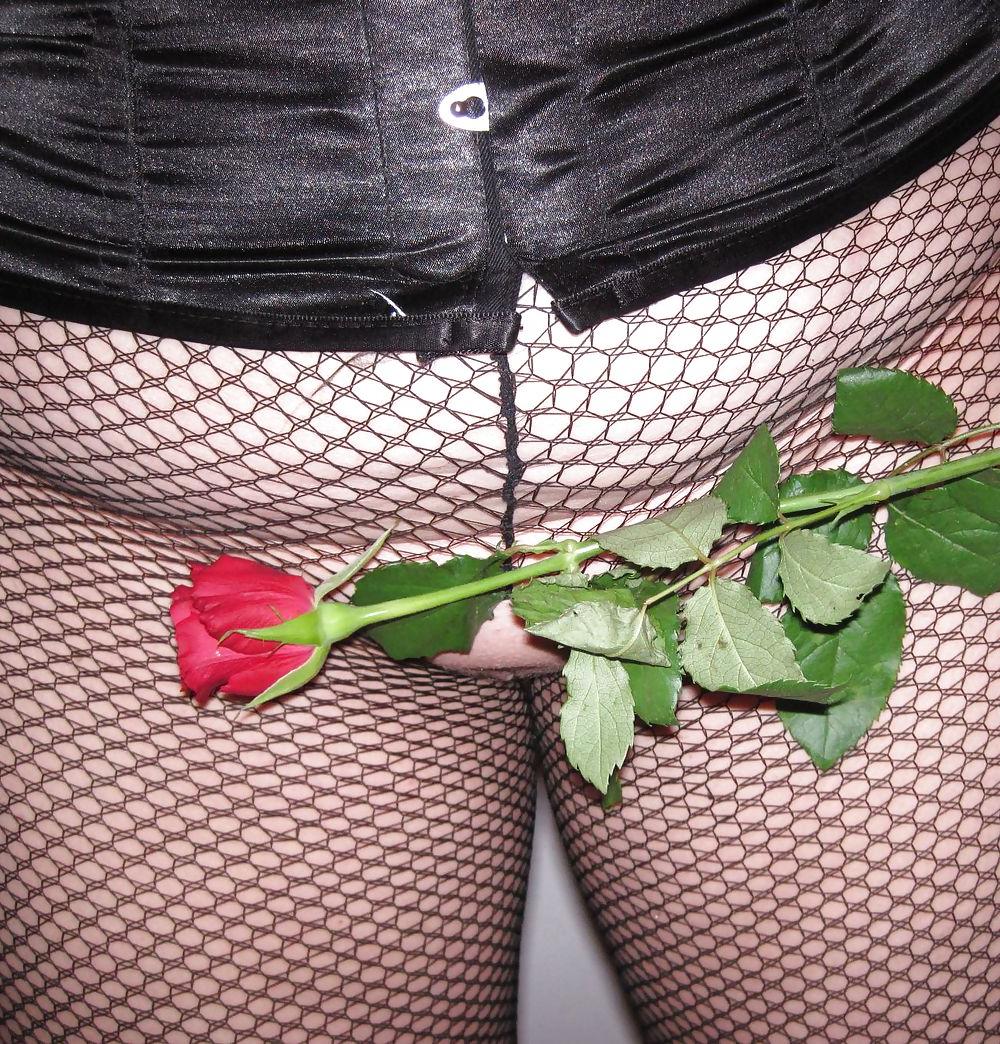 10P My red-rose-day