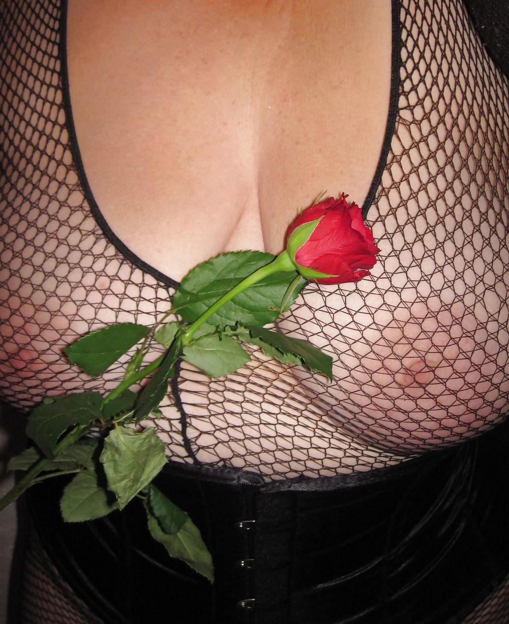 10P My red-rose-day
