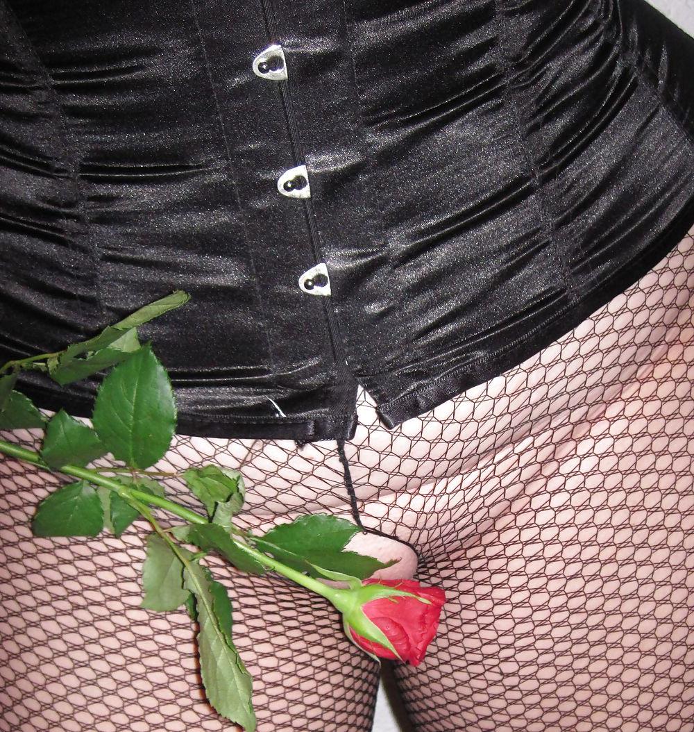 10P My red-rose-day