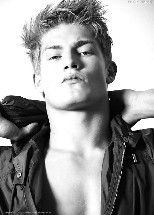 23P Harry....Gorgeous Model