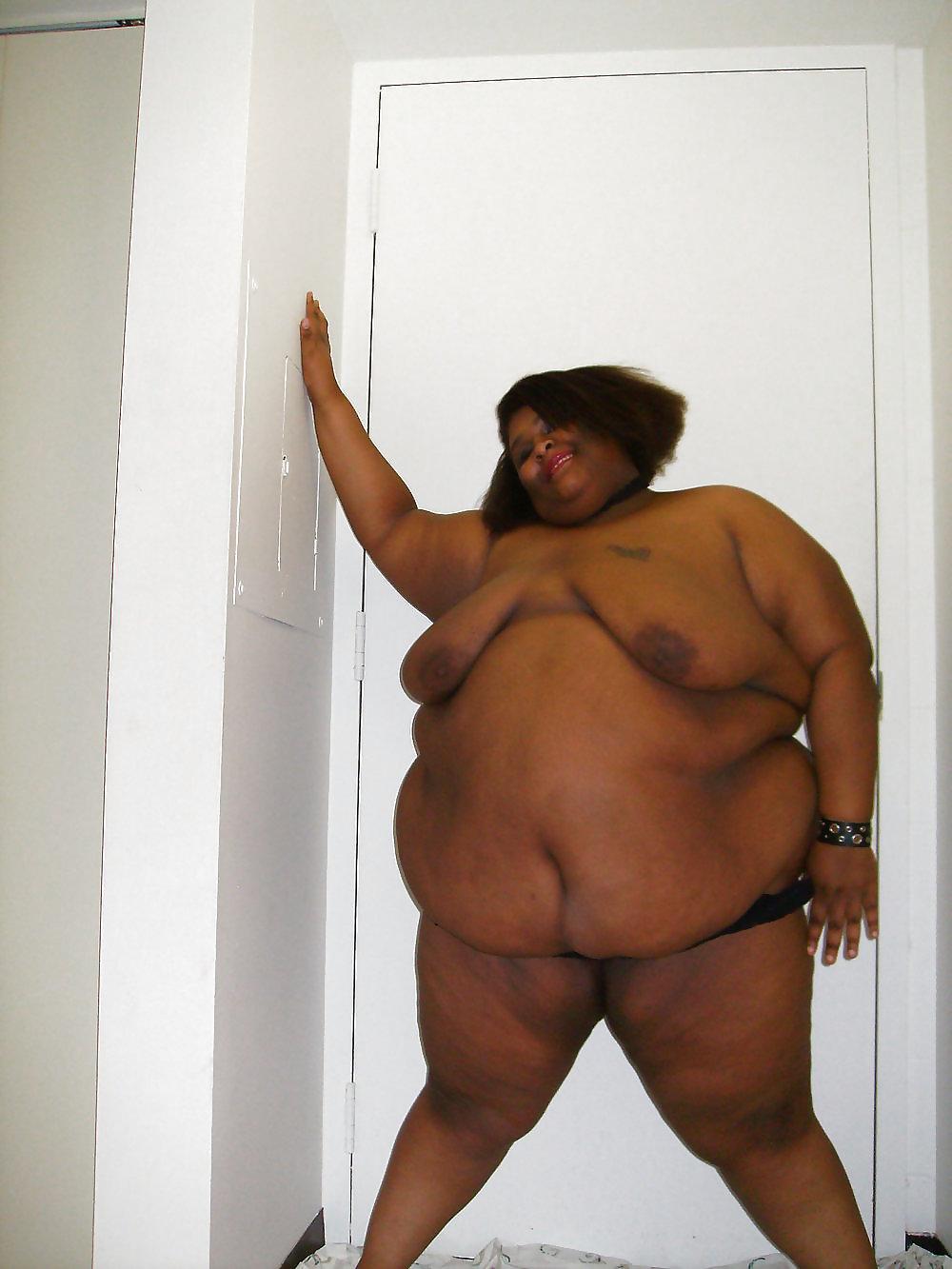 24P A few black bbw's