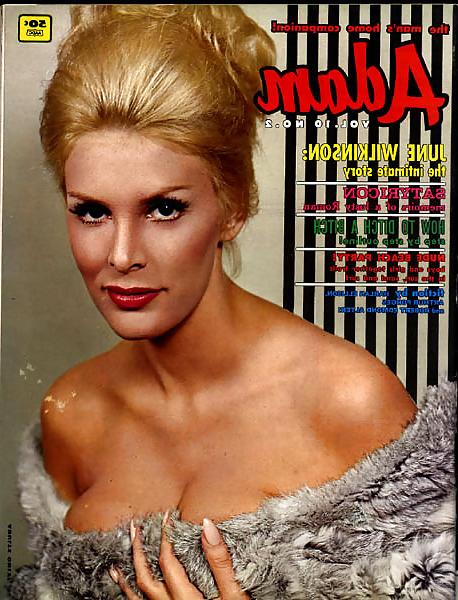 25P June Wilkinson BEAUTIFUL Big Tit RETRO Vintage Playboy