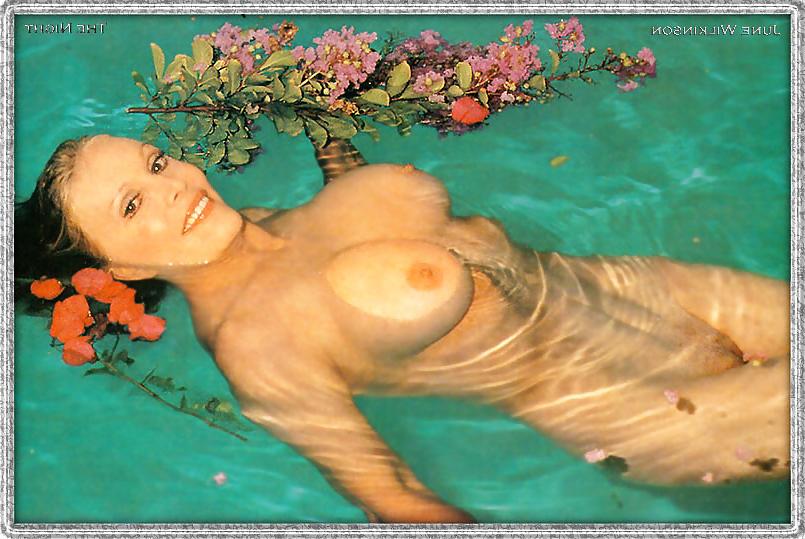 25P June Wilkinson BEAUTIFUL Big Tit RETRO Vintage Playboy
