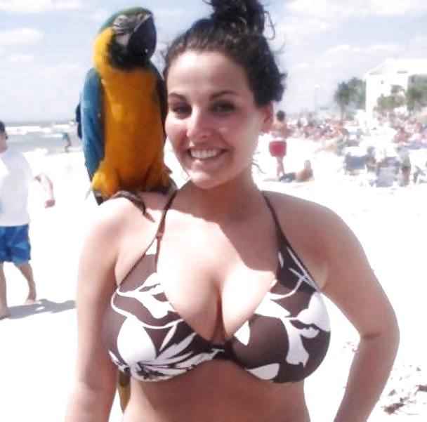 15P Big Boob and BBW Bikini (some matures)