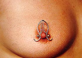 19P Nipple Jewelry