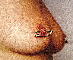 19P Nipple Jewelry
