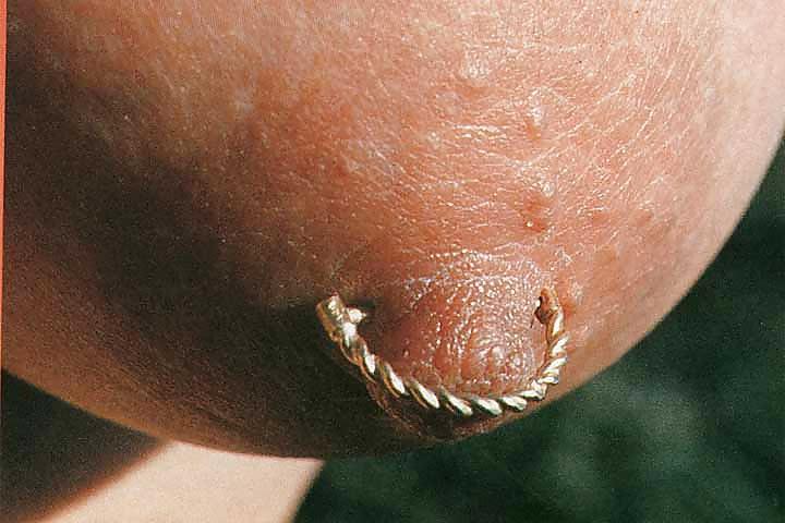 19P Nipple Jewelry