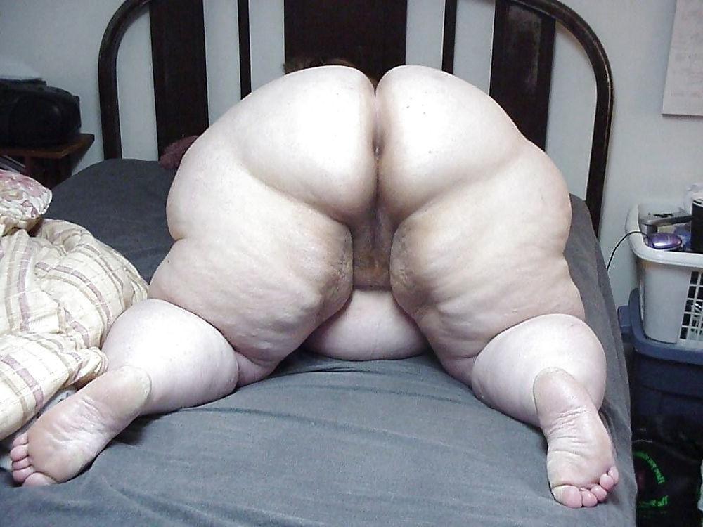 25P Bbw chubby spread 2