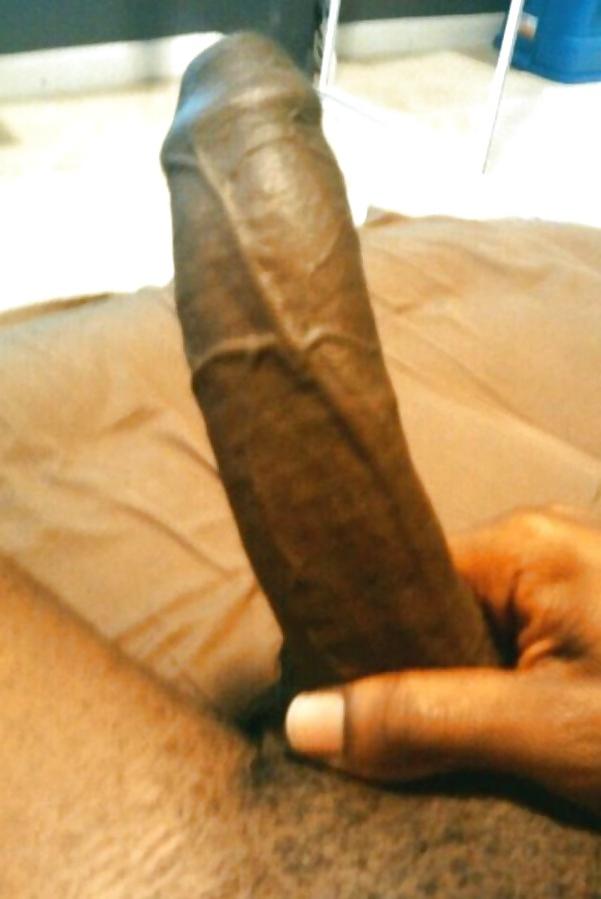 12P Hot long cocks white &black