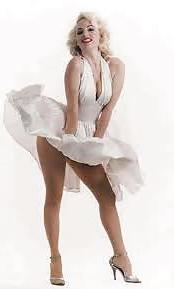 25P Classic pin up girl