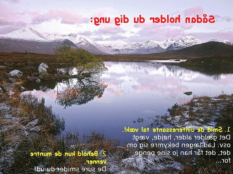 18P Life philosophie(in Danish)