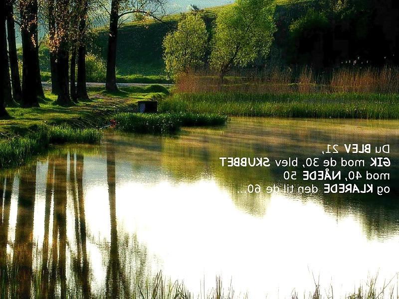 18P Life philosophie(in Danish)
