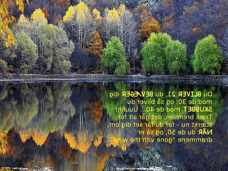 18P Life philosophie(in Danish)