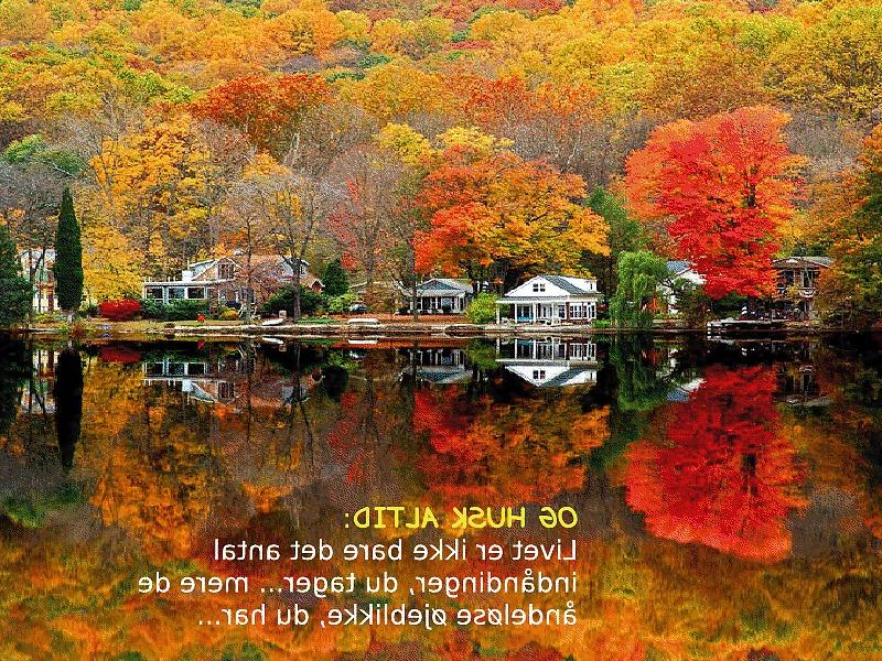 18P Life philosophie(in Danish)
