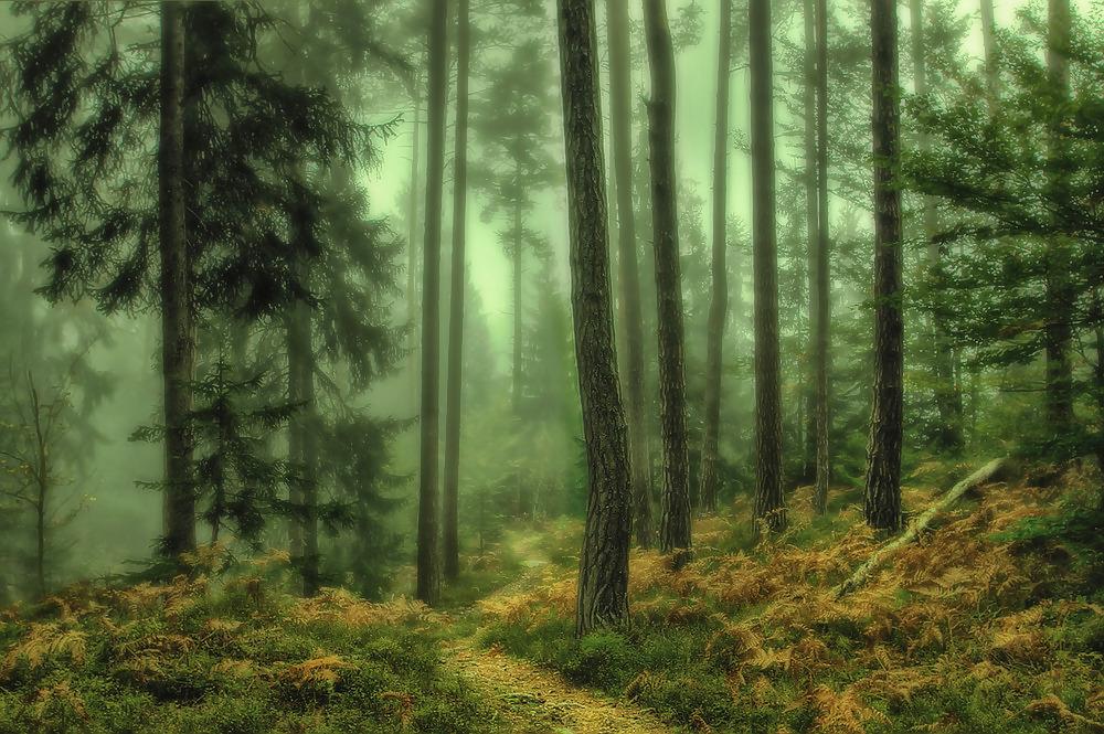 25P Die Natur,Thorhammer666