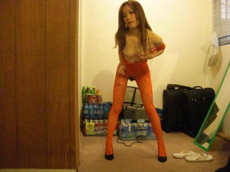 19P Asian hairy 