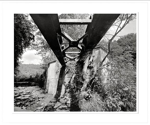 18P Black-and-white II .for Black--Widow
