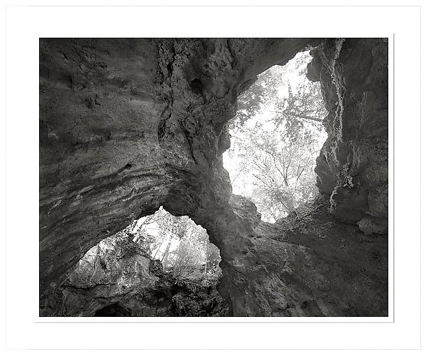 18P Black-and-white II .for Black--Widow