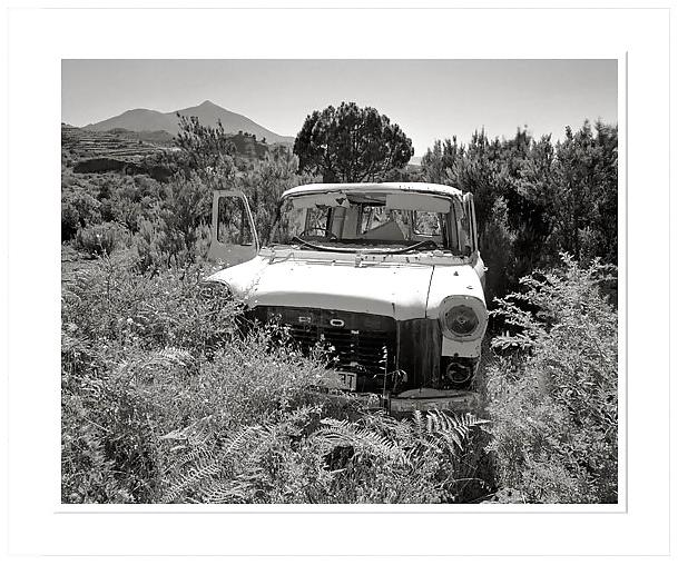18P Black-and-white II .for Black--Widow