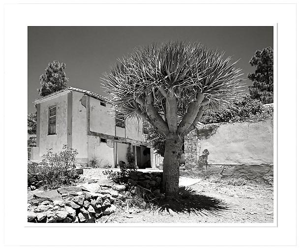 18P Black-and-white II .for Black--Widow