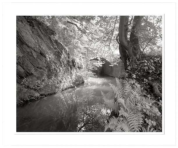 18P Black-and-white II .for Black--Widow