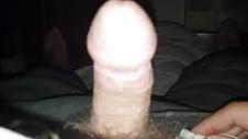 5P Hairy or smooth