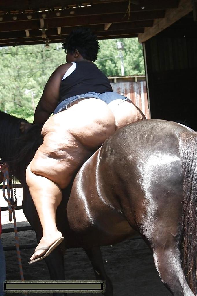 18P BBW BLACKS BABES WITH MEGA ASSES