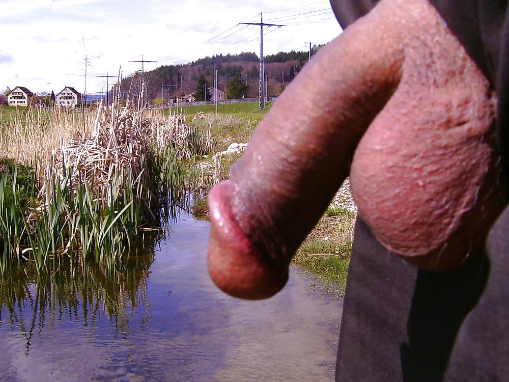 23P My cock in beautiful nature