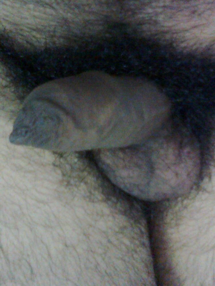 13P My hot cock or lund