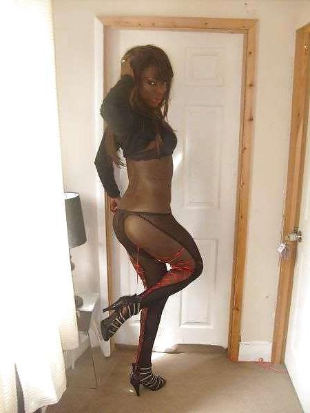 17P Black british tranny