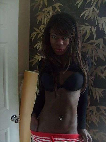 17P Black british tranny