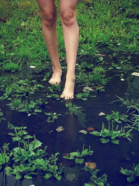 22P Nature 134