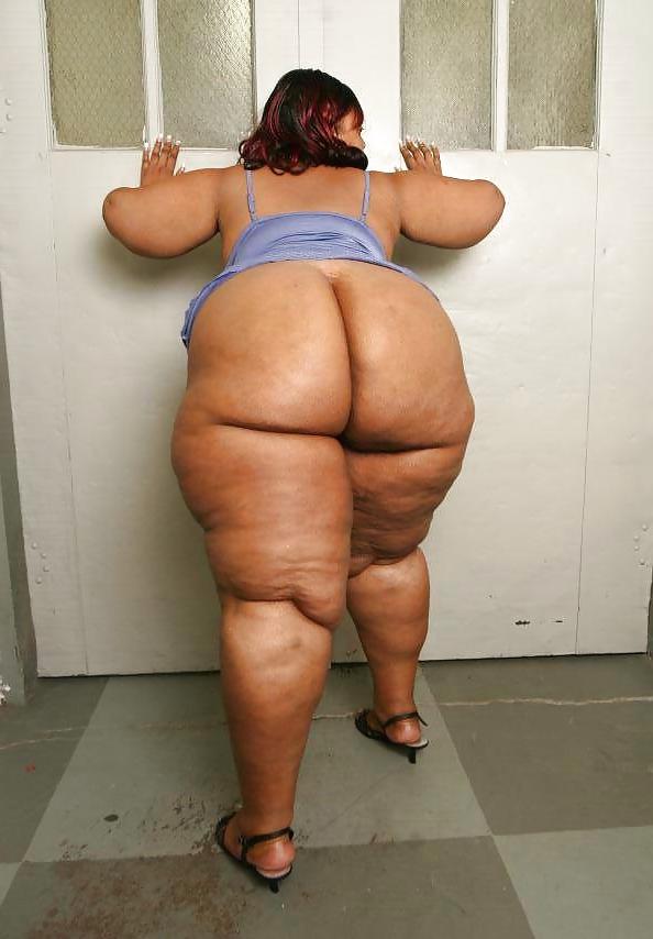 25P Culos BBW 7