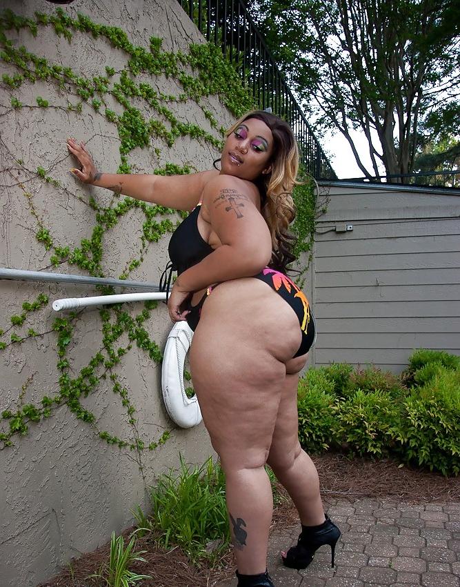 25P Ssbbw & bbw mix