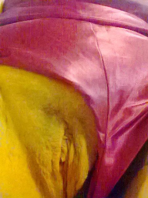 8P Sexy underwear