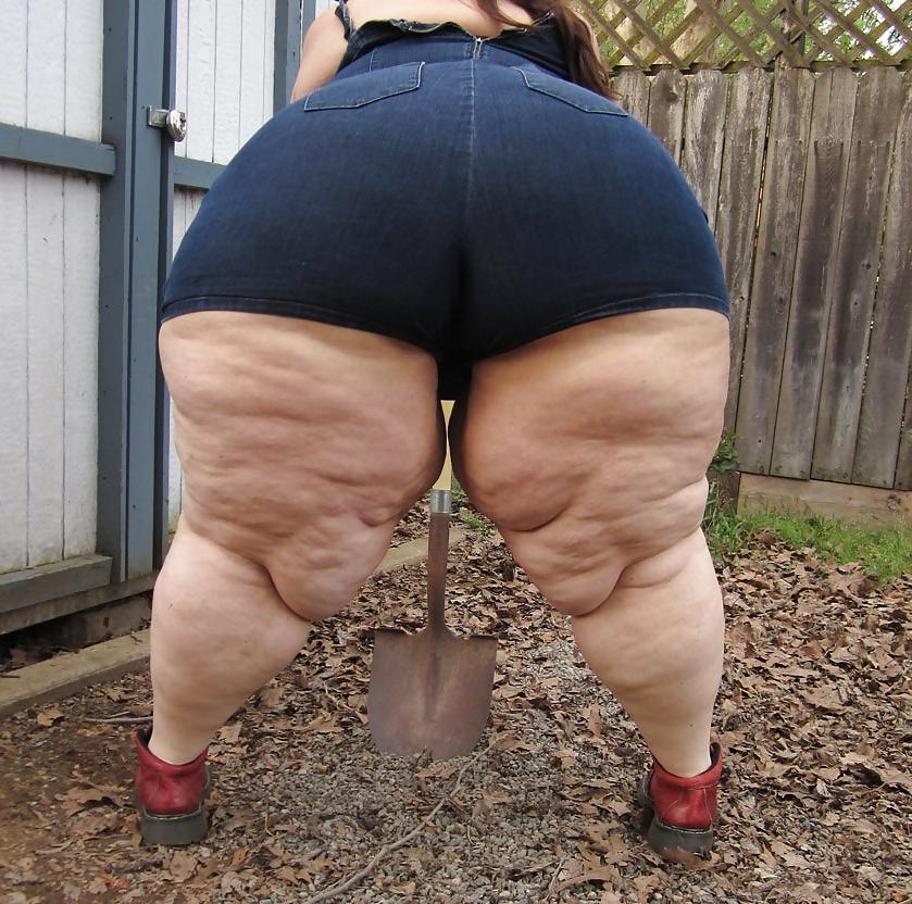 25P BBW TITS & ASS II
