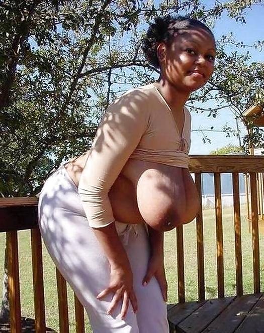 25P EBONY BBW