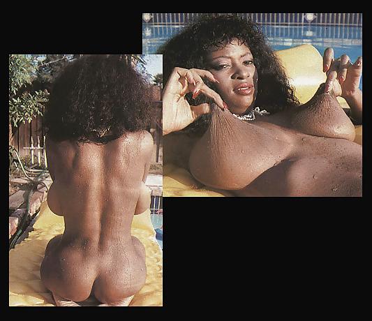 12P Vintage black pornstar Relonda Love