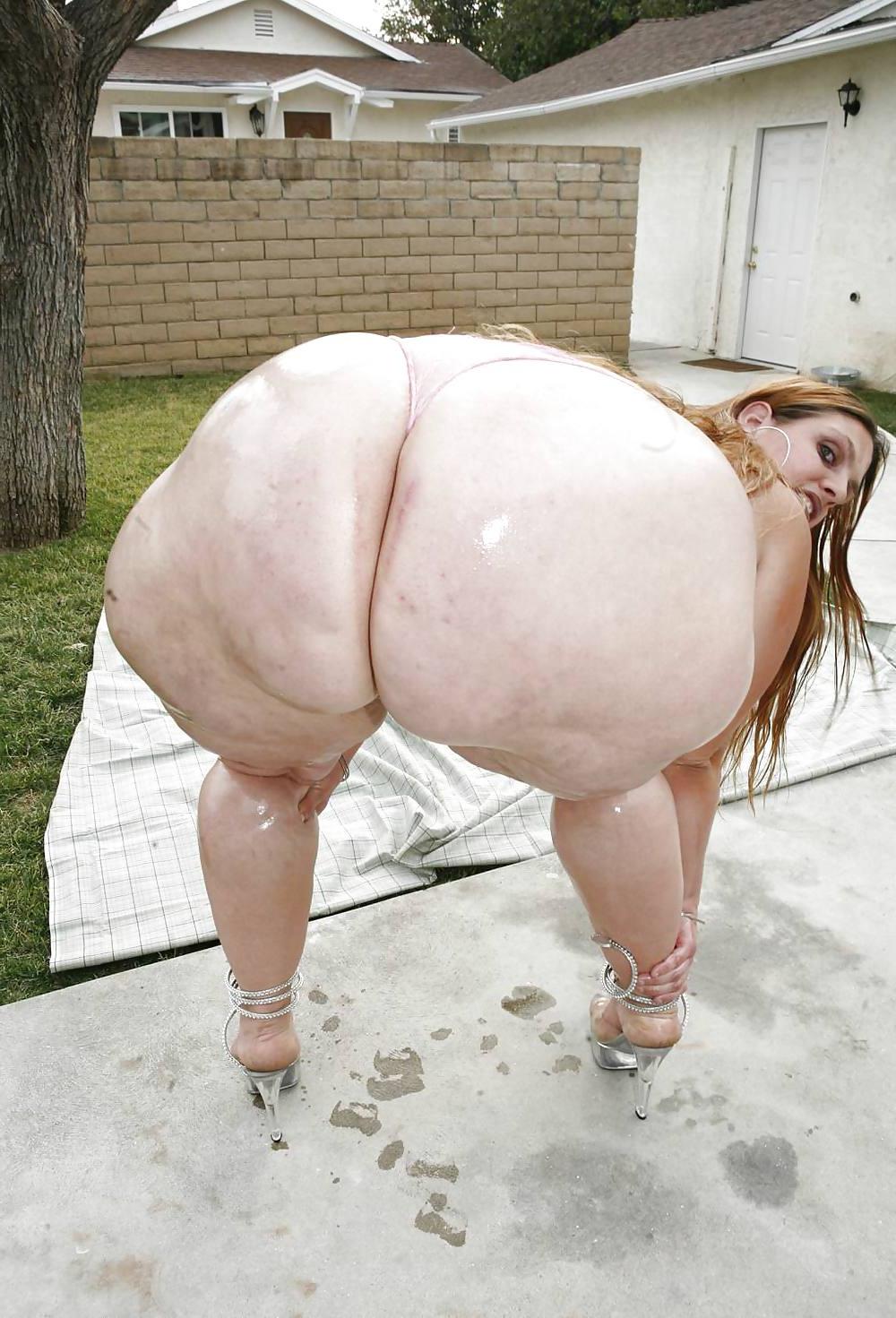 23P BBW asses