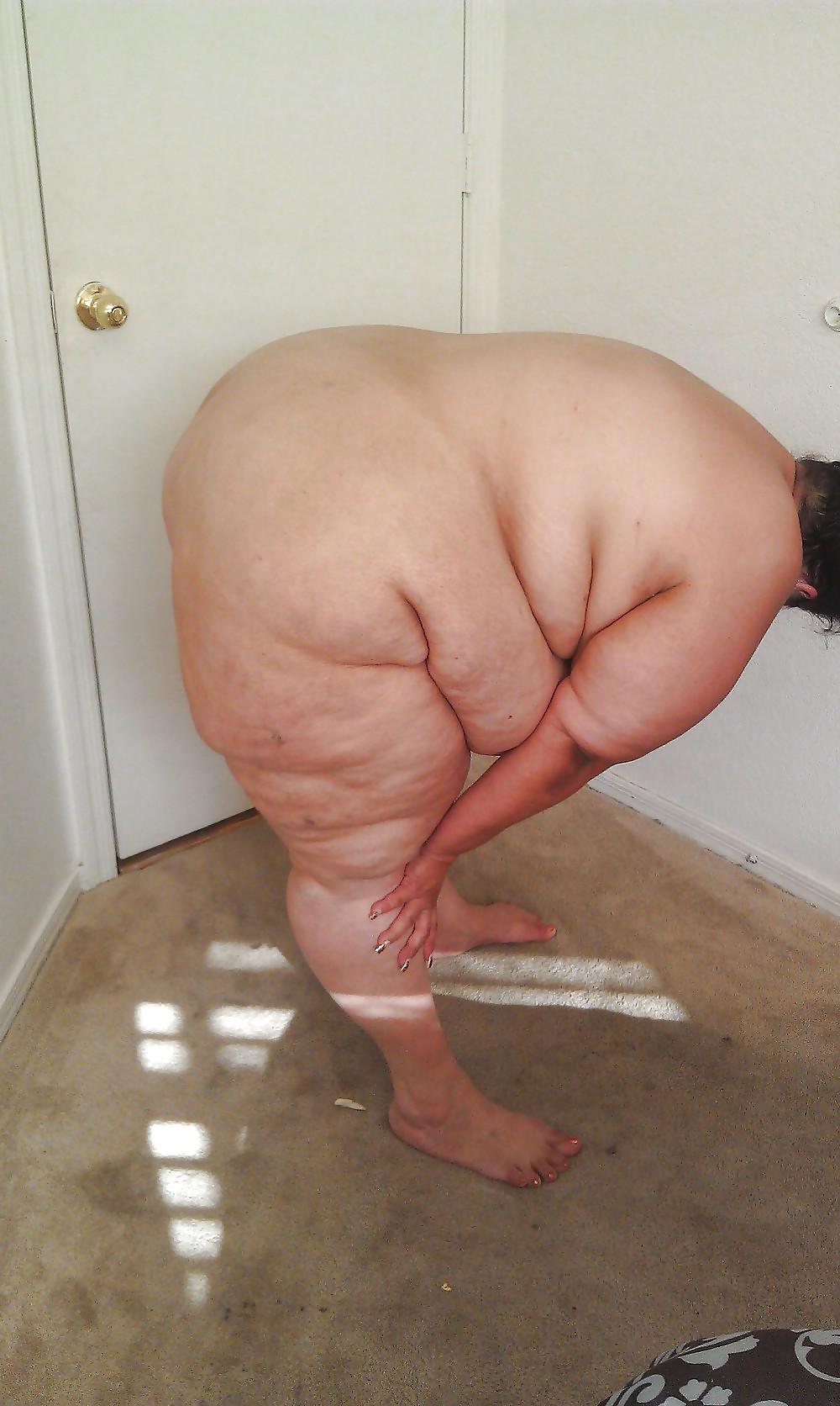 25P BBW & SSBBW Asses Collection #4