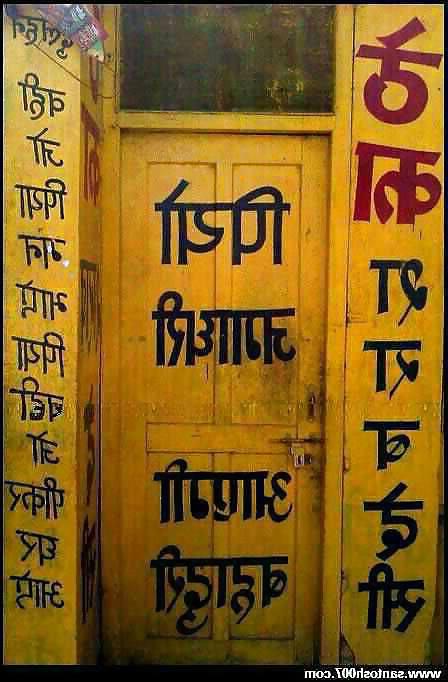 4P The Amazing Truth in Life