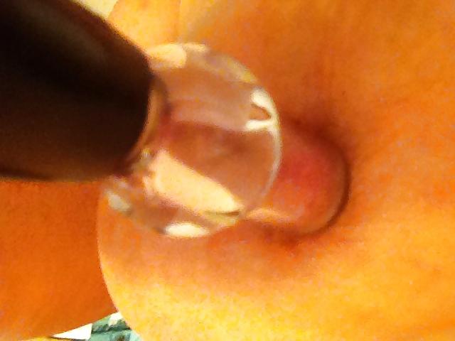 8P Nipple pumping and Nipple clamps
