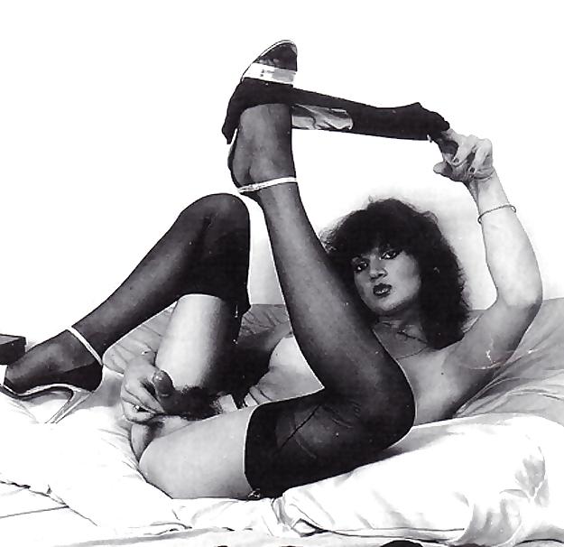 14P Sexy Retro Shemales 3