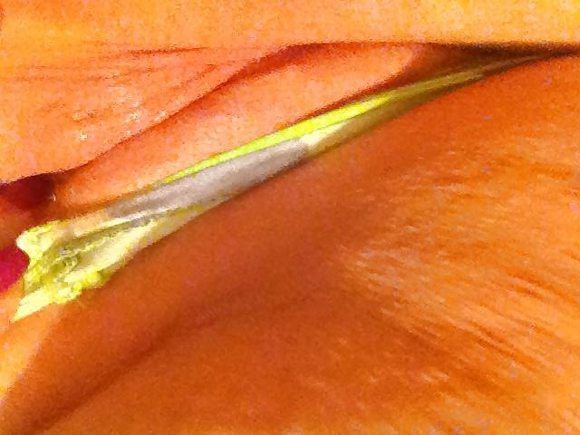 8P New Hair, Little bit hairy pussy,shaved ,