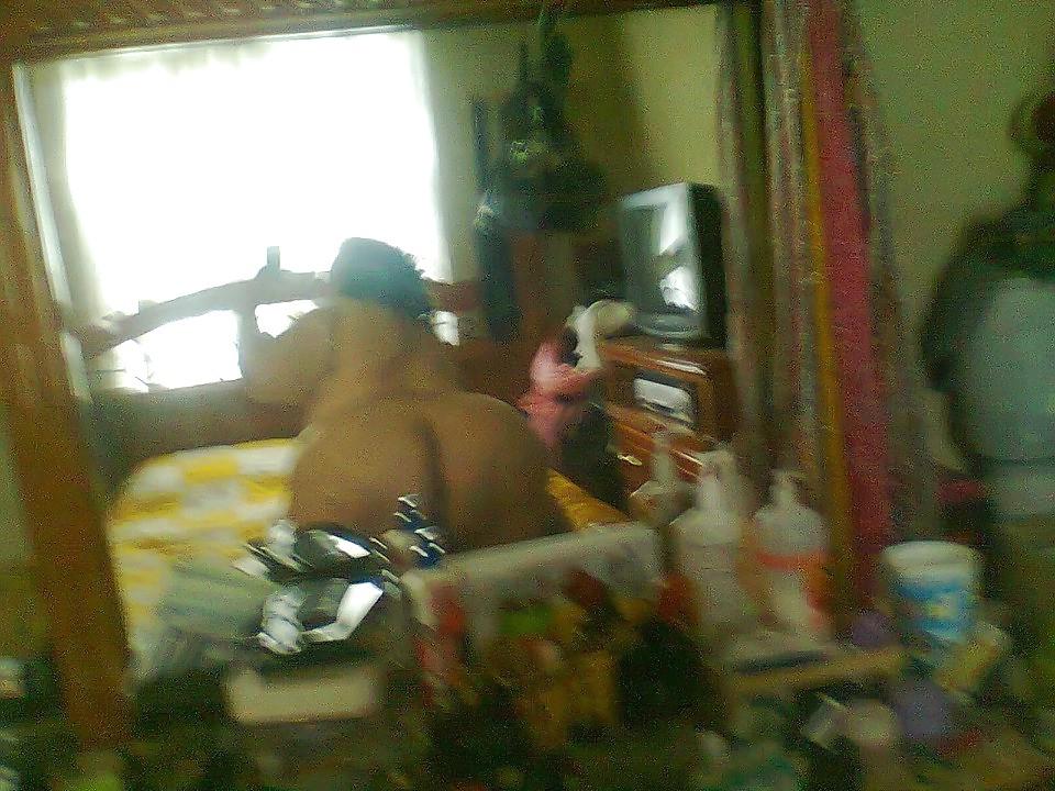 20P Bbw asses i like 