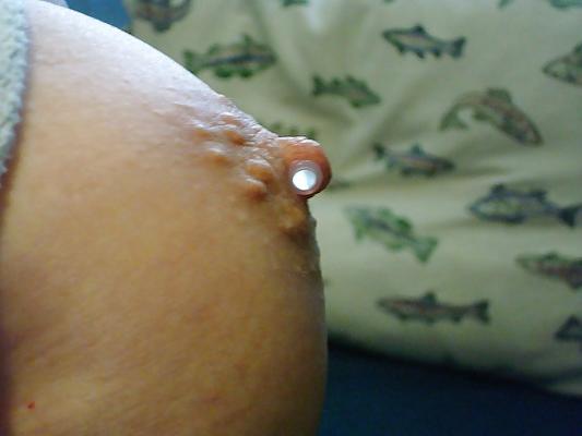 23P Dee's Nipple Piercings